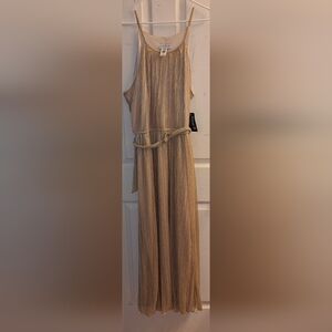 Alexa B Nites Glitter Shimmer Maxi Dress Spaghetti Strap 16W